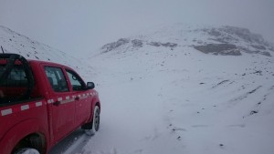 nieve 1